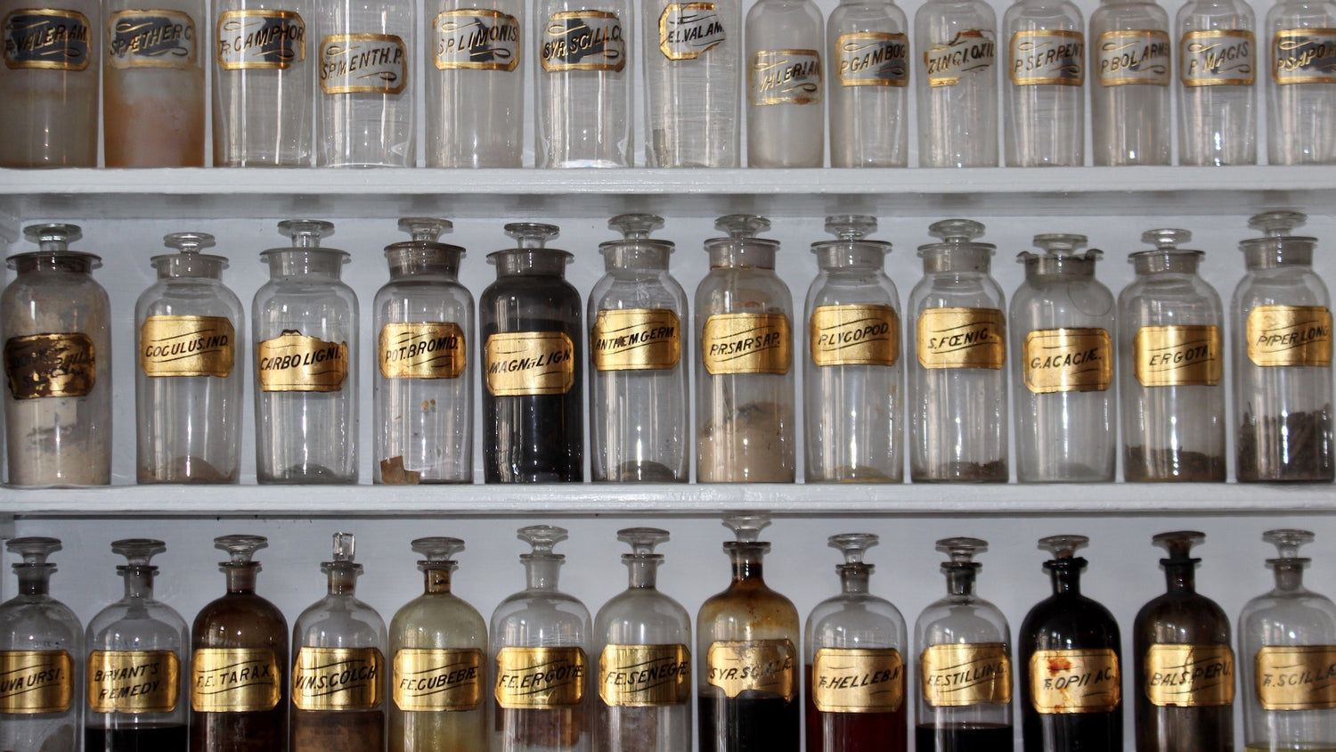 Looni blog post of medical Q&A with photo by @mbriney on https://unsplash.com/photos/0tfz7ZoXaWc?utm_source=unsplash&utm_medium=referral&utm_content=creditCopyText