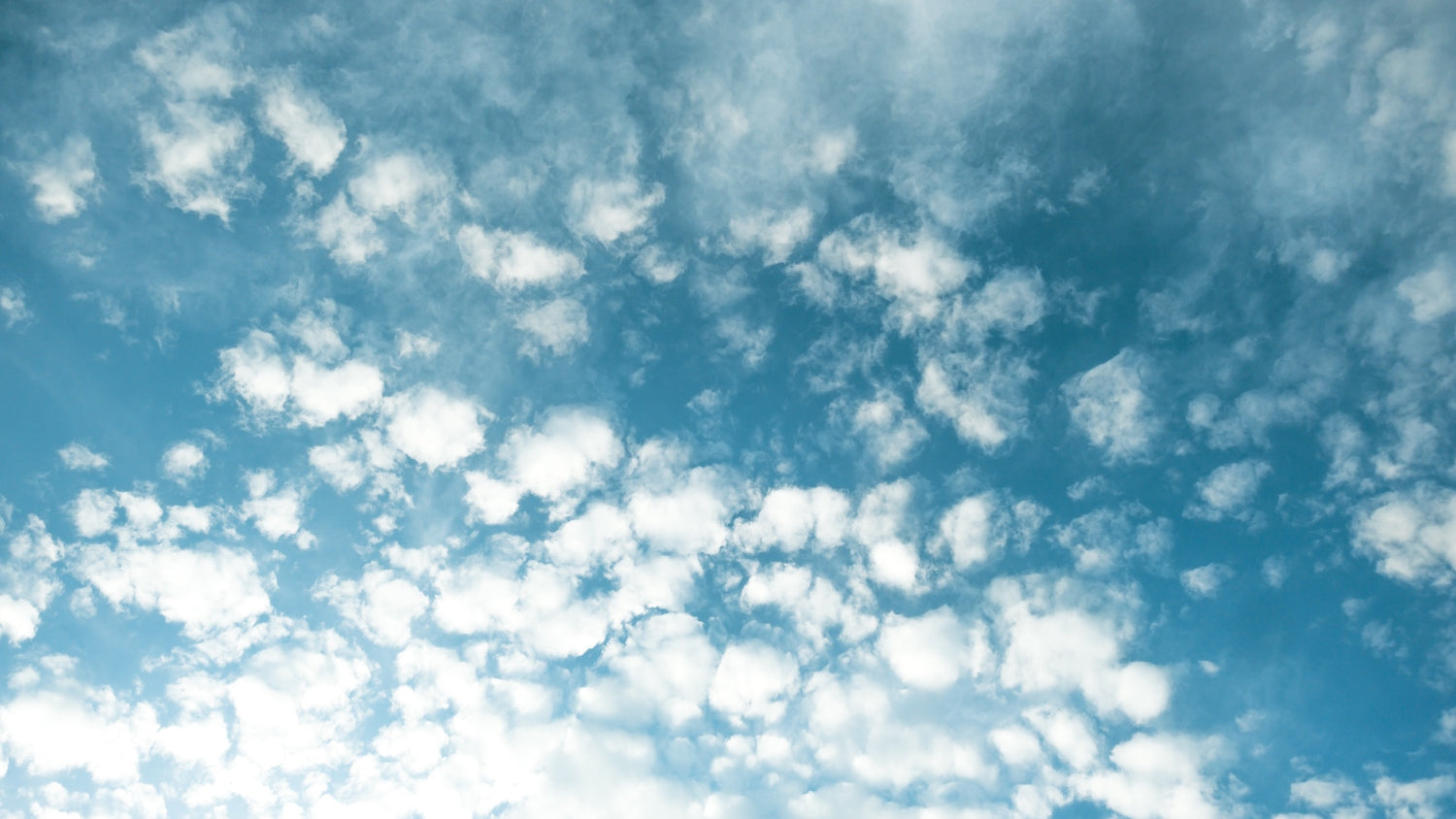 Looni PCOS blog post with photo from tim-foster on unsplash