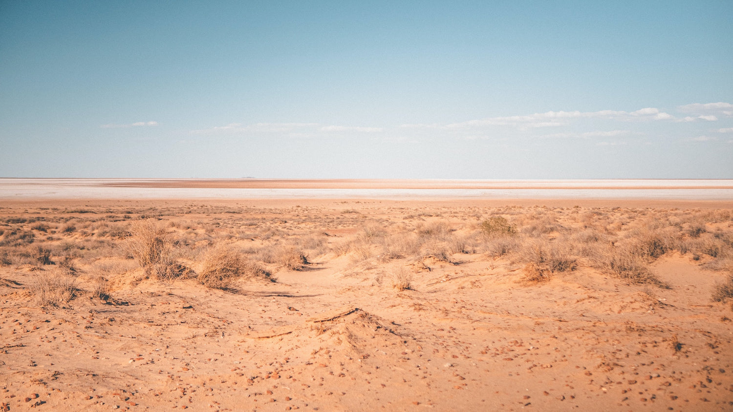 Looni blog post with photo by @simonmaisch on https://unsplash.com/images/nature/desert